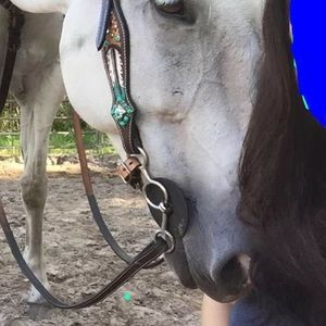 Meet your Posher, Katee